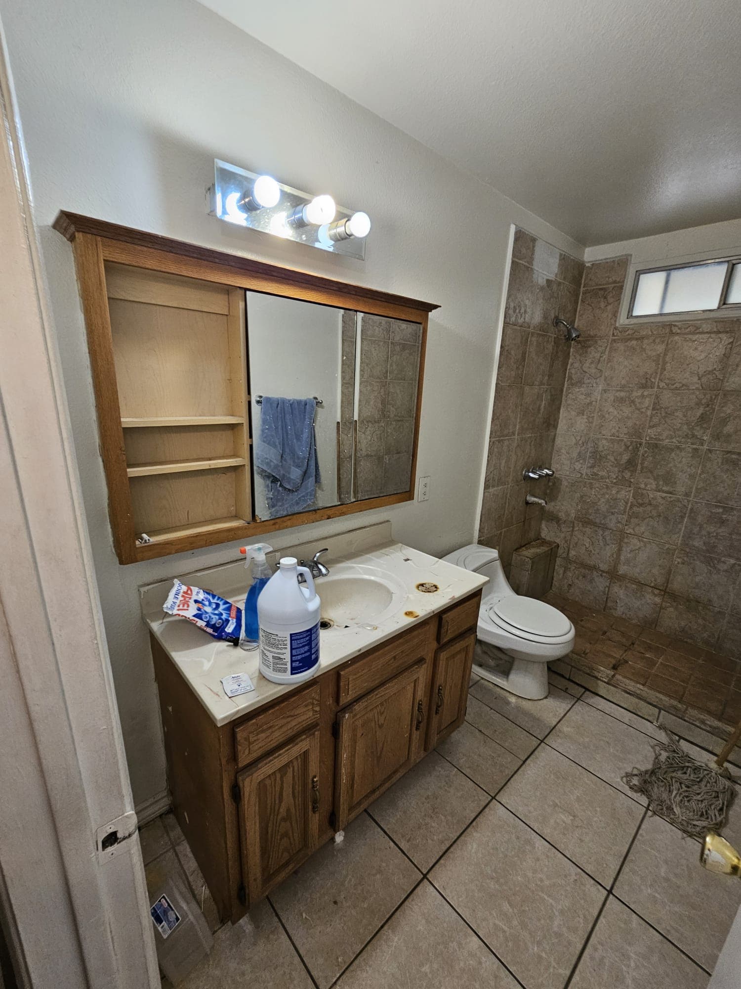 Bathroom Remodel - Before